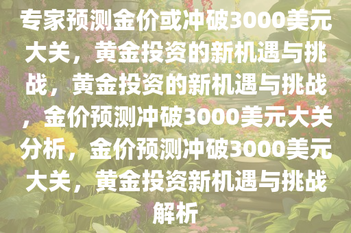 专家预测金价或冲破3000美元大关，黄金投资的新机遇与挑战，黄金投资的新机遇与挑战，金价预测冲破3000美元大关分析，金价预测冲破3000美元大关，黄金投资新机遇与挑战解析