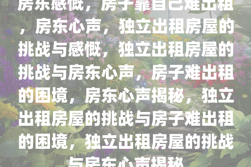 房东感慨，房子靠自己难出租，房东心声，独立出租房屋的挑战与感慨，独立出租房屋的挑战与房东心声，房子难出租的困境，房东心声揭秘，独立出租房屋的挑战与房子难出租的困境，独立出租房屋的挑战与房东心声揭秘