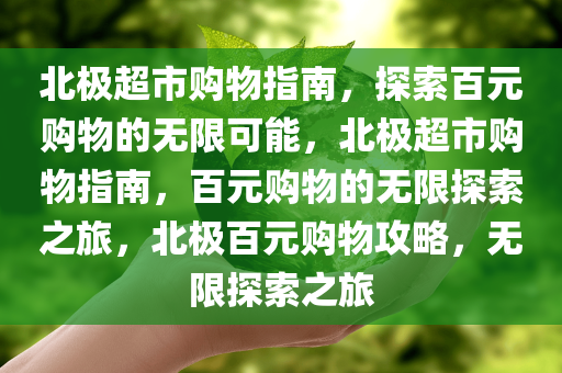 北极超市购物指南，探索百元购物的无限可能，北极超市购物指南，百元购物的无限探索之旅，北极百元购物攻略，无限探索之旅