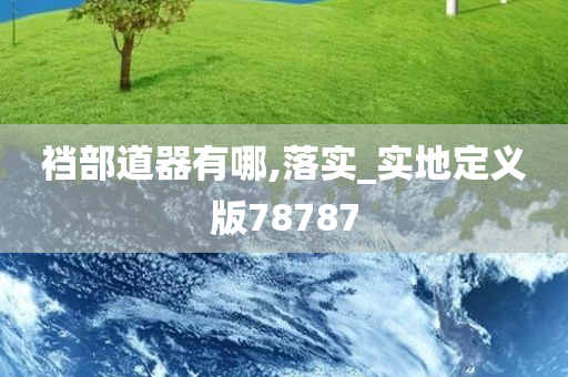 裆部道器有哪,落实_实地定义版78787