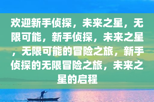 欢迎新手侦探，未来之星，无限可能，新手侦探，未来之星，无限可能的冒险之旅，新手侦探的无限冒险之旅，未来之星的启程