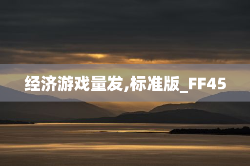 经济游戏量发,标准版_FF45