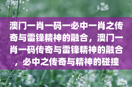 澳门一肖一码一必中一肖之传奇与雷锋精神的融合，澳门一肖一码传奇与雷锋精神的融合，必中之传奇与精神的碰撞