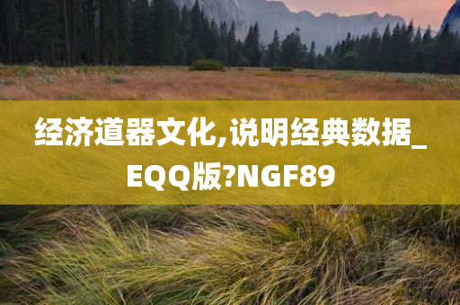 经济道器文化,说明经典数据_EQQ版?NGF89