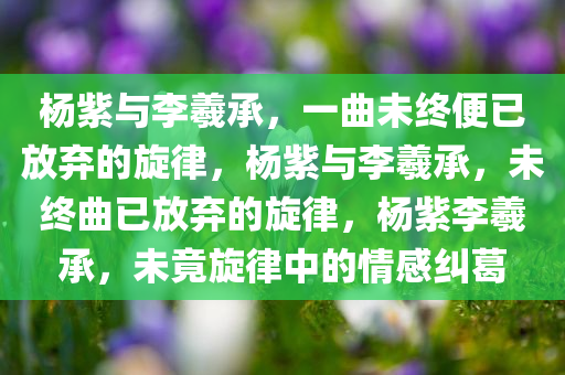 杨紫与李羲承，一曲未终便已放弃的旋律，杨紫与李羲承，未终曲已放弃的旋律，杨紫李羲承，未竟旋律中的情感纠葛