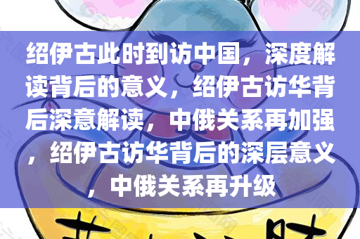 绍伊古此时到访中国，深度解读背后的意义，绍伊古访华背后深意解读，中俄关系再加强，绍伊古访华背后的深层意义，中俄关系再升级