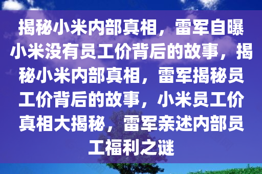 揭秘小米内部真相，雷军自曝小米没有员工价背后的故事，揭秘小米内部真相，雷军揭秘员工价背后的故事，小米员工价真相大揭秘，雷军亲述内部员工福利之谜