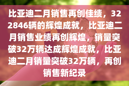 比亚迪二月销售再创佳绩，322846辆的辉煌成就，比亚迪二月销售业绩再创辉煌，销量突破32万辆达成辉煌成就，比亚迪二月销量突破32万辆，再创销售新纪录