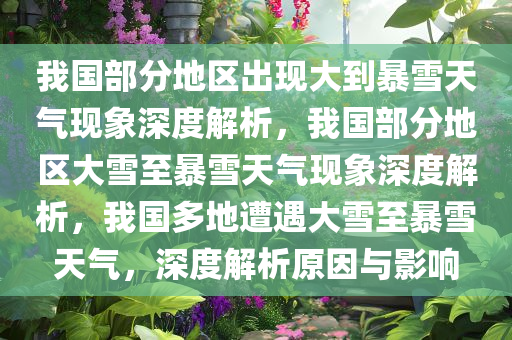 我国部分地区出现大到暴雪天气现象深度解析，我国部分地区大雪至暴雪天气现象深度解析，我国多地遭遇大雪至暴雪天气，深度解析原因与影响