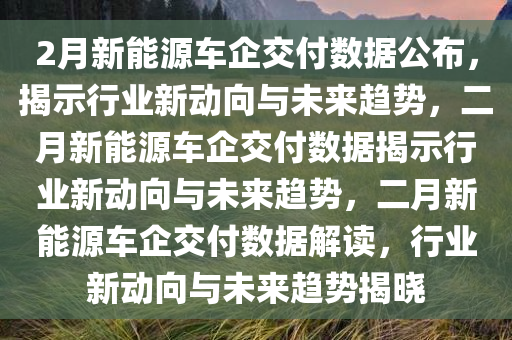 2月新能源车企交付数据公布，揭示行业新动向与未来趋势，二月新能源车企交付数据揭示行业新动向与未来趋势，二月新能源车企交付数据解读，行业新动向与未来趋势揭晓