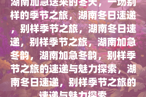 湖南加急送来的冬天，一场别样的季节之旅，湖南冬日速递，别样季节之旅，湖南冬日速递，别样季节之旅，湖南加急冬韵，湖南加急冬韵，别样季节之旅的速递与魅力探索，湖南冬日速递，别样季节之旅的速递与魅力探索