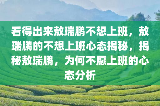 看得出来敖瑞鹏不想上班，敖瑞鹏的不想上班心态揭秘，揭秘敖瑞鹏，为何不愿上班的心态分析