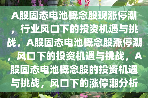 A股固态电池概念股现涨停潮，行业风口下的投资机遇与挑战，A股固态电池概念股涨停潮，风口下的投资机遇与挑战，A股固态电池概念股的投资机遇与挑战，风口下的涨停潮分析