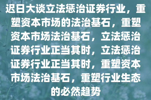 迟日大谈立法惩治证券行业，重塑资本市场的法治基石，重塑资本市场法治基石，立法惩治证券行业正当其时，立法惩治证券行业正当其时，重塑资本市场法治基石，重塑行业生态的必然趋势