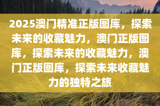 2025澳门精准正版图库，探索未来的收藏魅力，澳门正版图库，探索未来的收藏魅力，澳门正版图库，探索未来收藏魅力的独特之旅