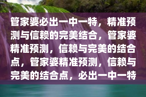 管家婆必出一中一特，精准预测与信赖的完美结合，管家婆精准预测，信赖与完美的结合点，管家婆精准预测，信赖与完美的结合点，必出一中一特