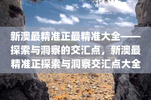 新澳最精准正最精准大全——探索与洞察的交汇点，新澳最精准正探索与洞察交汇点大全
