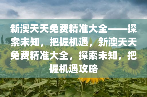 新澳天天免费精准大全——探索未知，把握机遇，新澳天天免费精准大全，探索未知，把握机遇攻略