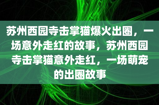 苏州西园寺击掌猫爆火出圈，一场意外走红的故事，苏州西园寺击掌猫意外走红，一场萌宠的出圈故事