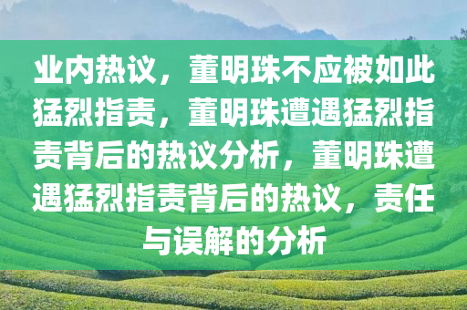 业内热议，董明珠不应被如此猛烈指责，董明珠遭遇猛烈指责背后的热议分析，董明珠遭遇猛烈指责背后的热议，责任与误解的分析
