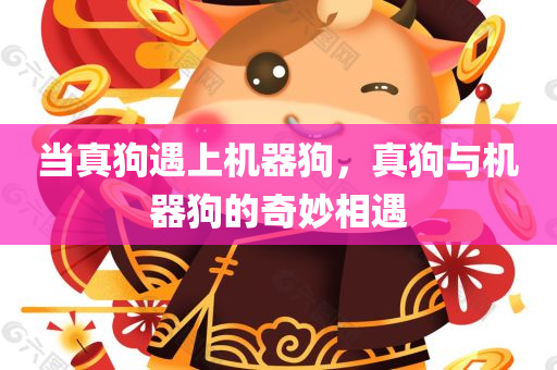 当真狗遇上机器狗，真狗与机器狗的奇妙相遇
