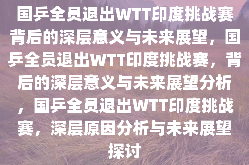 国乒全员退出WTT印度挑战赛背后的深层意义与未来展望，国乒全员退出WTT印度挑战赛，背后的深层意义与未来展望分析，国乒全员退出WTT印度挑战赛，深层原因分析与未来展望探讨