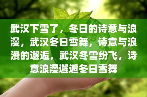 武汉下雪了，冬日的诗意与浪漫，武汉冬日雪舞，诗意与浪漫的邂逅，武汉冬雪纷飞，诗意浪漫邂逅冬日雪舞