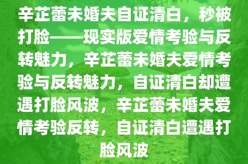辛芷蕾未婚夫自证清白，秒被打脸——现实版爱情考验与反转魅力，辛芷蕾未婚夫爱情考验与反转魅力，自证清白却遭遇打脸风波，辛芷蕾未婚夫爱情考验反转，自证清白遭遇打脸风波