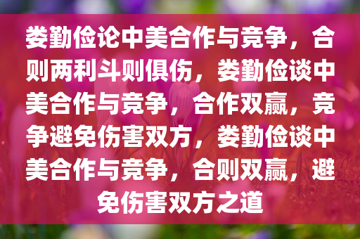 娄勤俭论中美合作与竞争，合则两利斗则俱伤，娄勤俭谈中美合作与竞争，合作双赢，竞争避免伤害双方，娄勤俭谈中美合作与竞争，合则双赢，避免伤害双方之道