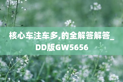核心车注车多,的全解答解答_DD版GW5656