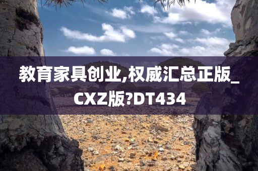 教育家具创业,权威汇总正版_CXZ版?DT434