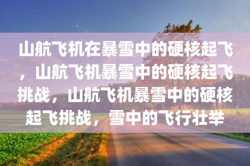 山航飞机在暴雪中的硬核起飞，山航飞机暴雪中的硬核起飞挑战，山航飞机暴雪中的硬核起飞挑战，雪中的飞行壮举