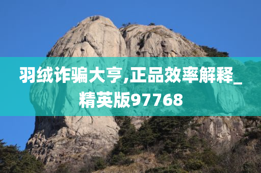 羽绒诈骗大亨,正品效率解释_精英版97768