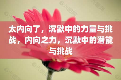 太内向了，沉默中的力量与挑战，内向之力，沉默中的潜能与挑战