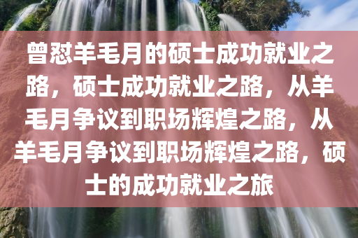 曾怼羊毛月的硕士成功就业之路，硕士成功就业之路，从羊毛月争议到职场辉煌之路，从羊毛月争议到职场辉煌之路，硕士的成功就业之旅
