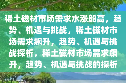 稀土磁材市场需求水涨船高，趋势、机遇与挑战，稀土磁材市场需求飙升，趋势、机遇与挑战探析，稀土磁材市场需求飙升，趋势、机遇与挑战的探析