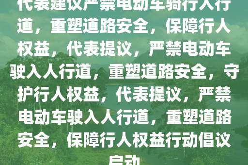 代表建议严禁电动车骑行人行道，重塑道路安全，保障行人权益，代表提议，严禁电动车驶入人行道，重塑道路安全，守护行人权益，代表提议，严禁电动车驶入人行道，重塑道路安全，保障行人权益行动倡议启动