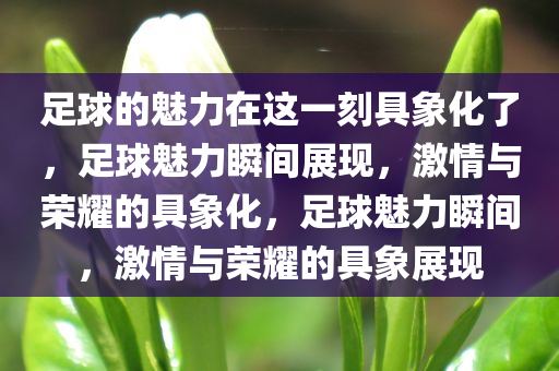足球的魅力在这一刻具象化了，足球魅力瞬间展现，激情与荣耀的具象化，足球魅力瞬间，激情与荣耀的具象展现