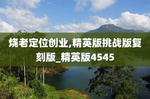 烧老定位创业,精英版挑战版复刻版_精英版4545