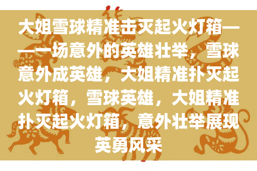大姐雪球精准击灭起火灯箱——一场意外的英雄壮举，雪球意外成英雄，大姐精准扑灭起火灯箱，雪球英雄，大姐精准扑灭起火灯箱，意外壮举展现英勇风采