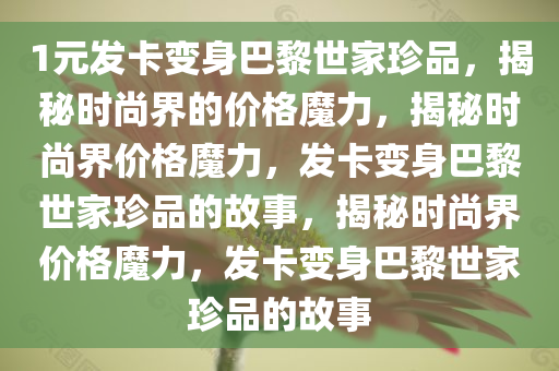 1元发卡变身巴黎世家珍品，揭秘时尚界的价格魔力，揭秘时尚界价格魔力，发卡变身巴黎世家珍品的故事，揭秘时尚界价格魔力，发卡变身巴黎世家珍品的故事