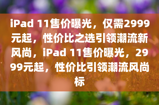 iPad 11售价曝光，仅需2999元起，性价比之选引领潮流新风尚，iPad 11售价曝光，2999元起，性价比引领潮流风尚标