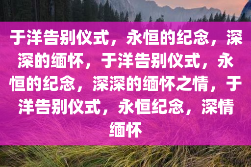 于洋告别仪式，永恒的纪念，深深的缅怀，于洋告别仪式，永恒的纪念，深深的缅怀之情，于洋告别仪式，永恒纪念，深情缅怀
