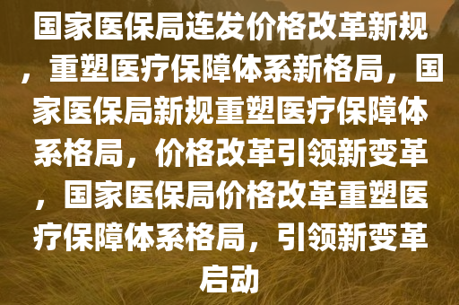 国家医保局连发价格改革新规，重塑医疗保障体系新格局，国家医保局新规重塑医疗保障体系格局，价格改革引领新变革，国家医保局价格改革重塑医疗保障体系格局，引领新变革启动