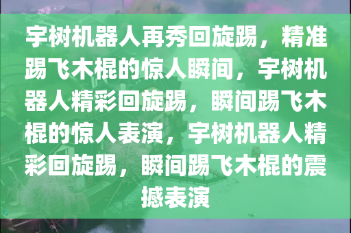 宇树机器人再秀回旋踢，精准踢飞木棍的惊人瞬间，宇树机器人精彩回旋踢，瞬间踢飞木棍的惊人表演，宇树机器人精彩回旋踢，瞬间踢飞木棍的震撼表演