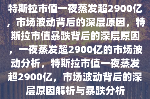 特斯拉市值一夜蒸发超2900亿，市场波动背后的深层原因，特斯拉市值暴跌背后的深层原因，一夜蒸发超2900亿的市场波动分析，特斯拉市值一夜蒸发超2900亿，市场波动背后的深层原因解析与暴跌分析