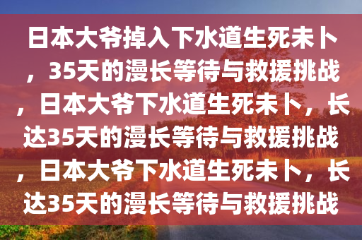 日本大爷掉入下水道生死未卜，35天的漫长等待与救援挑战，日本大爷下水道生死未卜，长达35天的漫长等待与救援挑战，日本大爷下水道生死未卜，长达35天的漫长等待与救援挑战