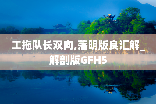 工拖队长双向,落明版良汇解_解剖版GFH5