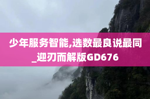 少年服务智能,选数最良说最同_迎刃而解版GD676