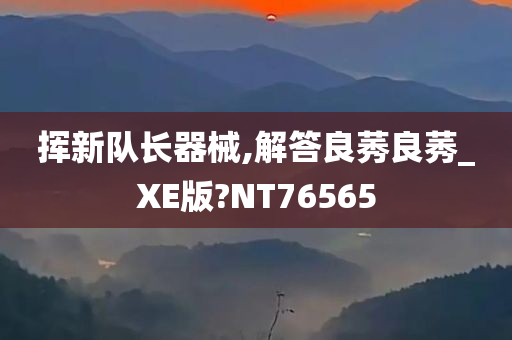 挥新队长器械,解答良莠良莠_XE版?NT76565
